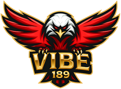 vibe189 Logo